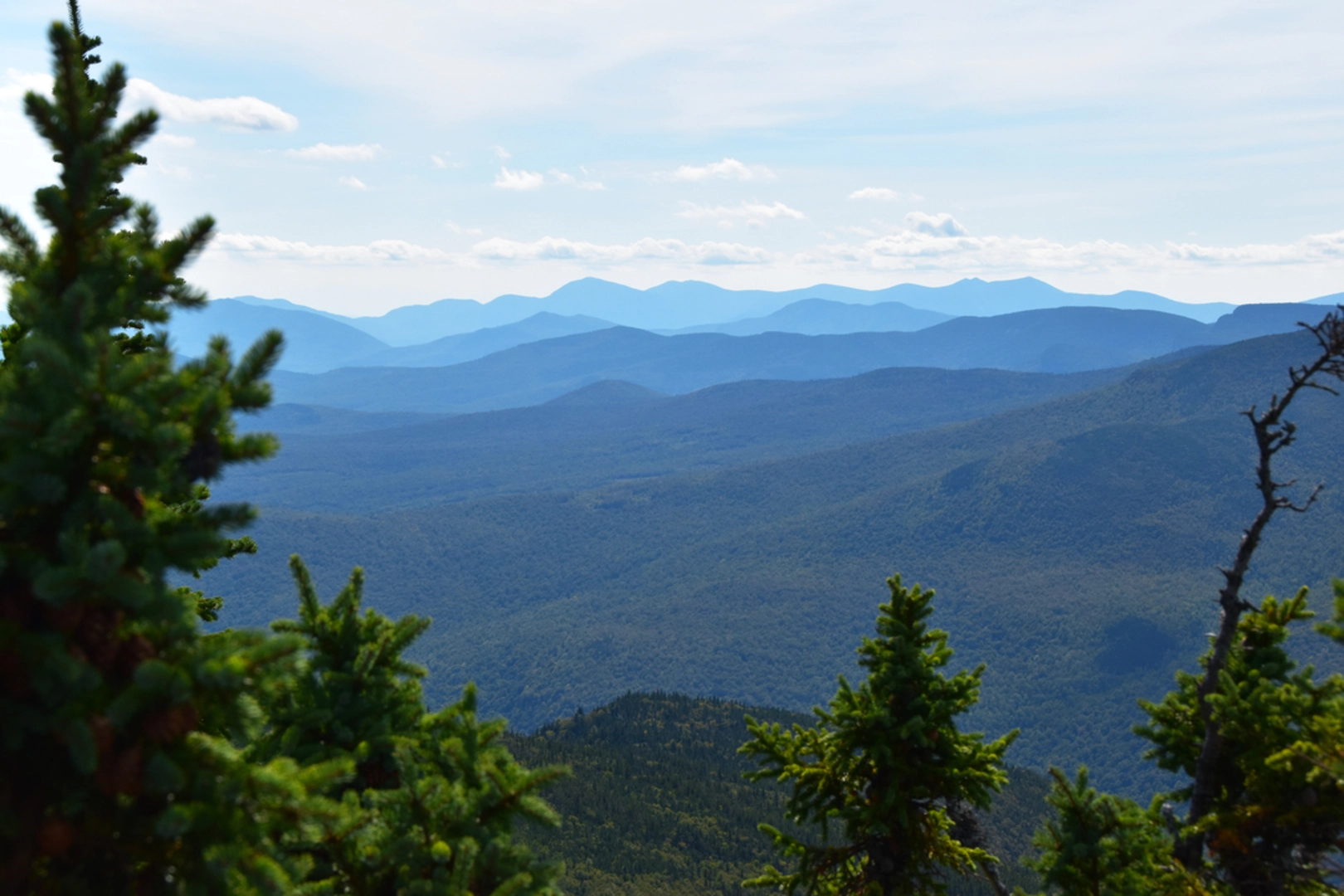 An image depicting the trail Nineteen - Mile Brook Trail and its surrounding area.