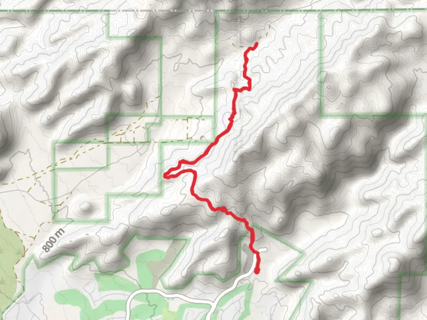 An image depicting the trail Cochie Springs and its surrounding area.