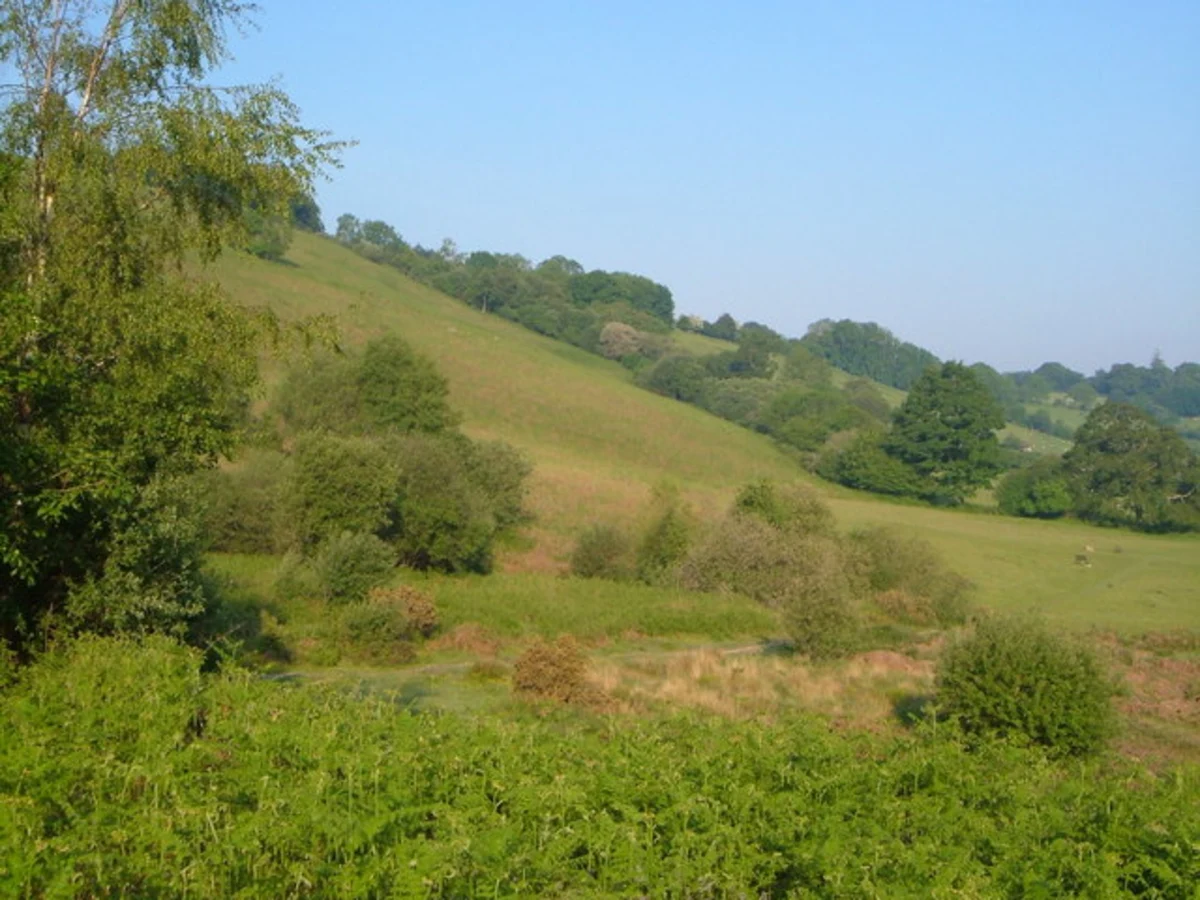 Meldon Hill Walk