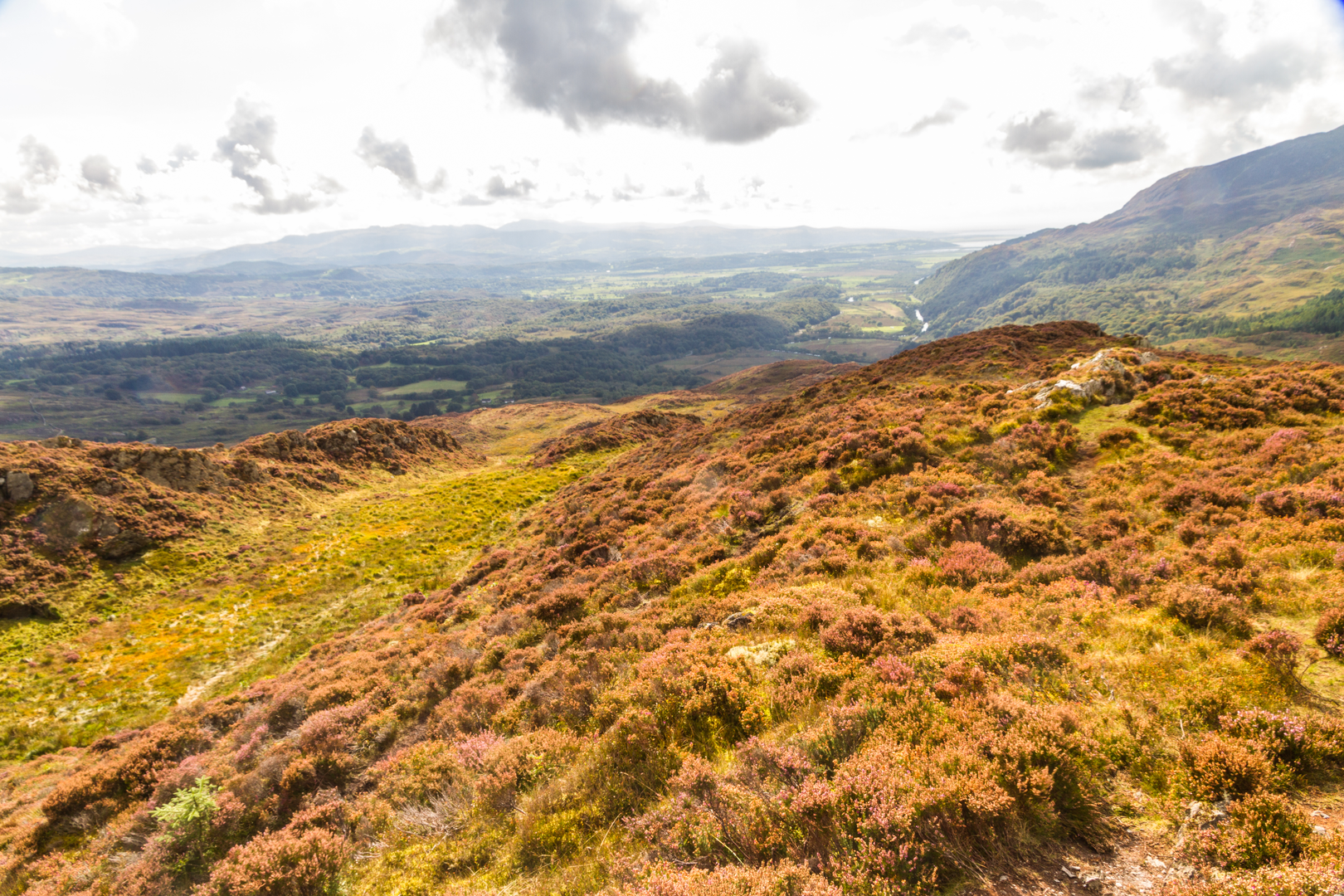An image depicting the trail Mynydd Sygun from Beddgelert and its surrounding area.