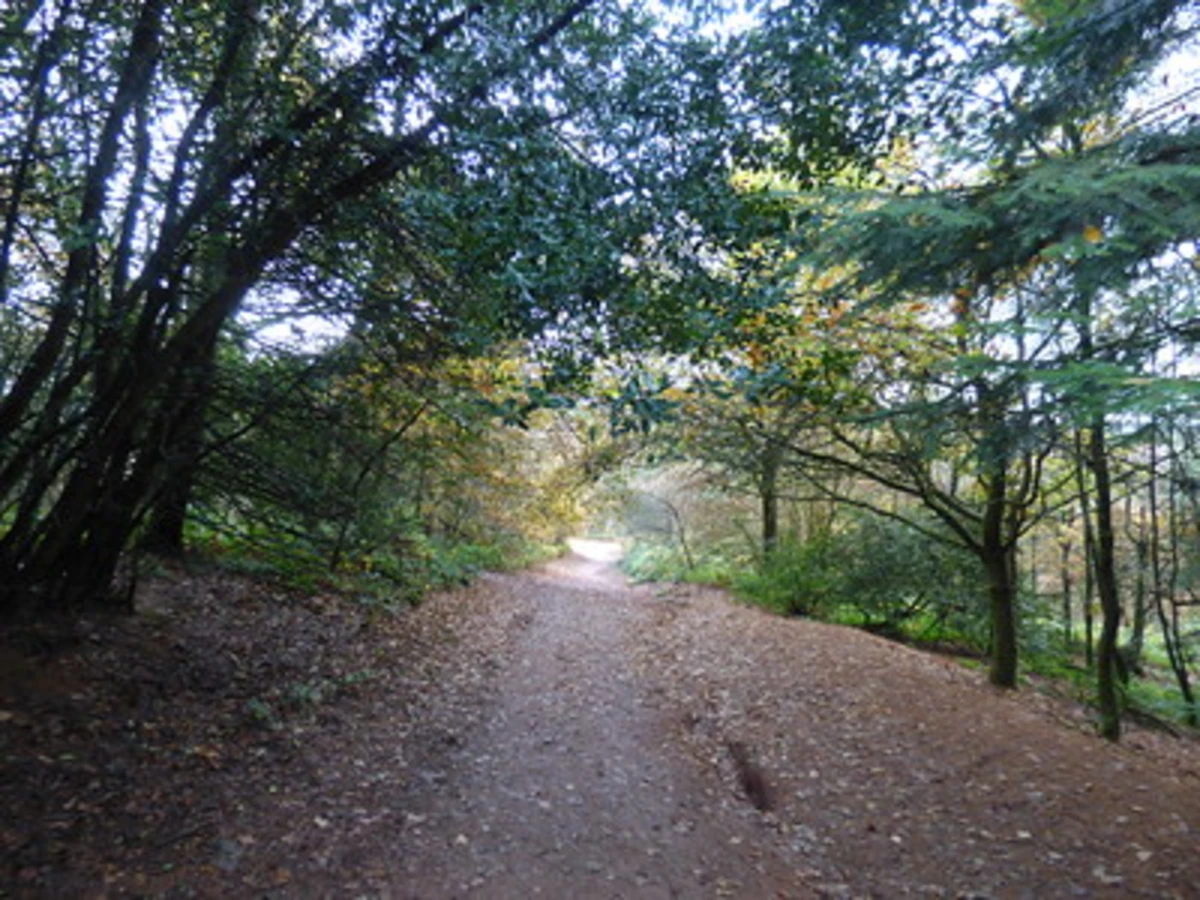 The Toposcope and Beacon Hill Walk - Lickey Hills