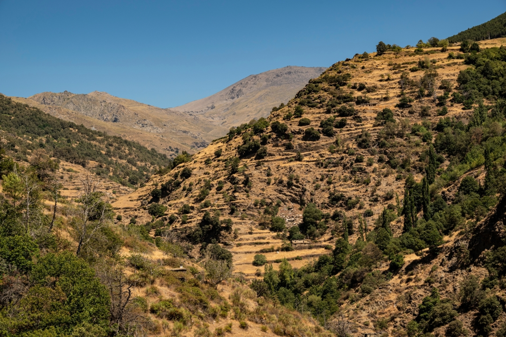 An image depicting the trail Refugio del Poqueira and its surrounding area.