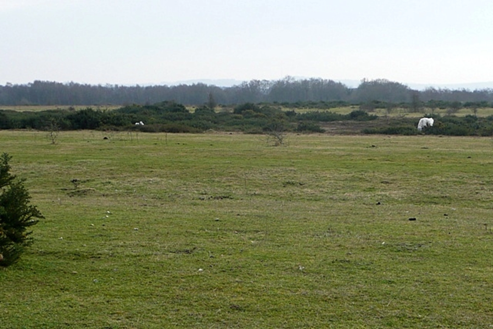 An image depicting the trail RAF Greenham Common Loop and its surrounding area.