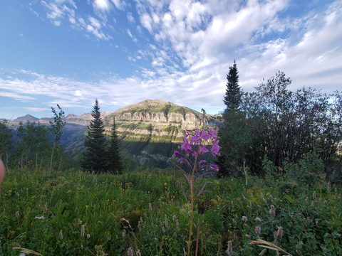 An image depicting the trail Table Mountain Trail and its surrounding area.