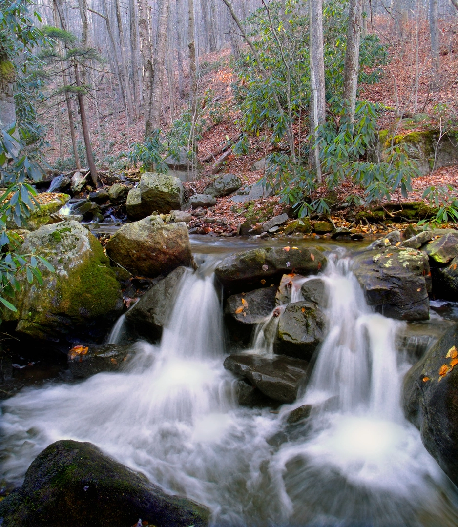An image depicting the trail Roaring Run Trail Loop and its surrounding area.