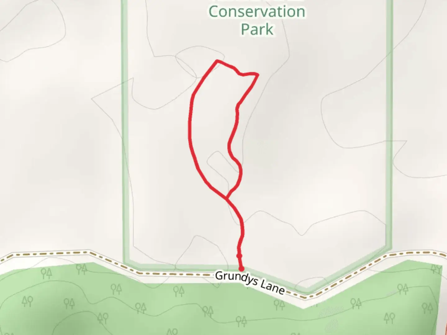 An image depicting the trail Forest Canopy Walk and its surrounding area.