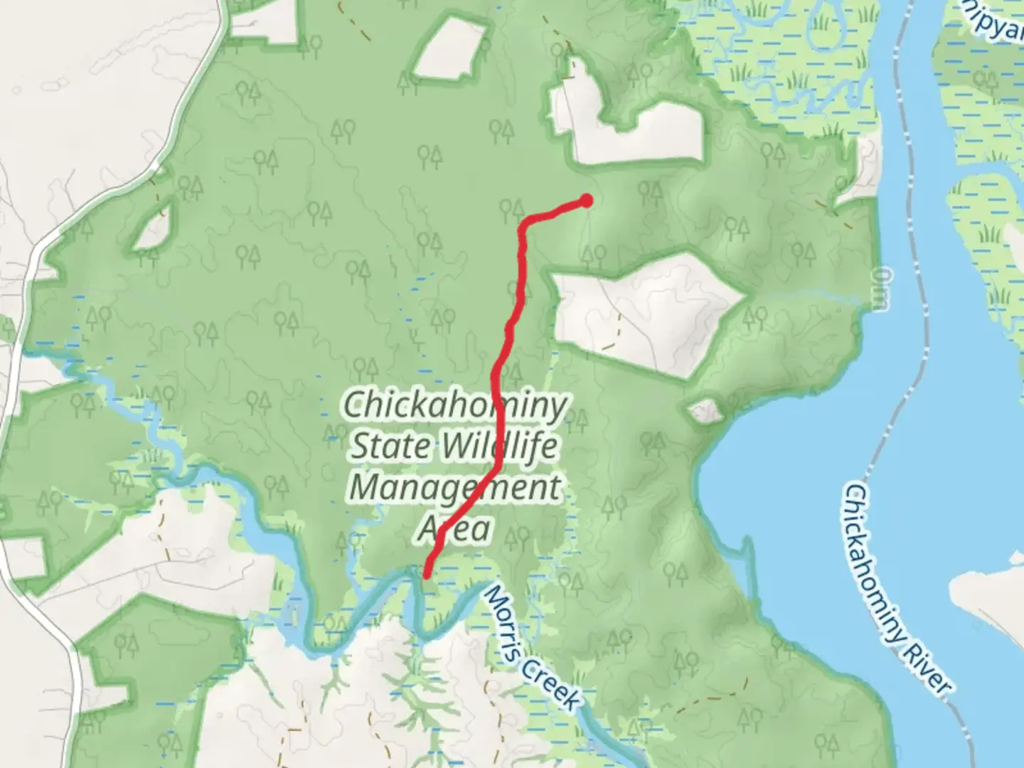 An image depicting the trail Morris Creek via Eagles Nest Road and its surrounding area.