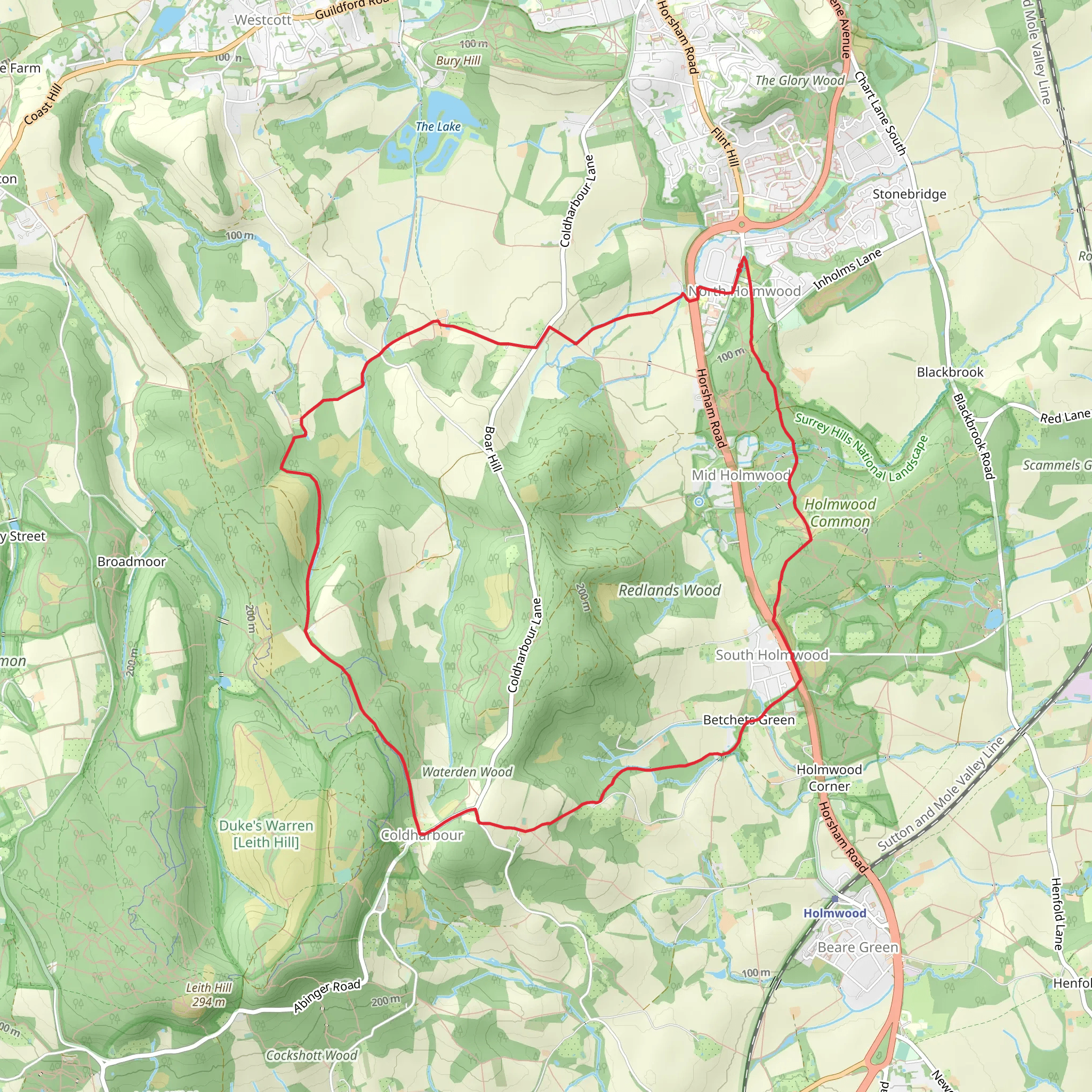 North Holmwood and Coldharbour Loop mobile static map