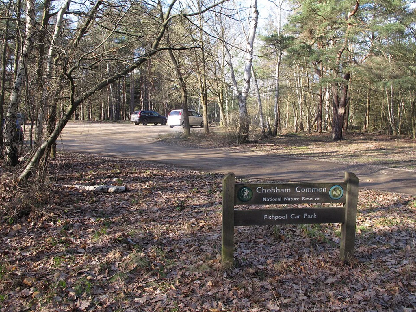 An image depicting the trail Chobham Common and Memorial Cross Loop and its surrounding area.
