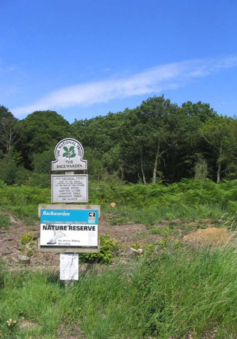An image depicting the trail Danbury Common and Canbury Country Park Loop and its surrounding area.