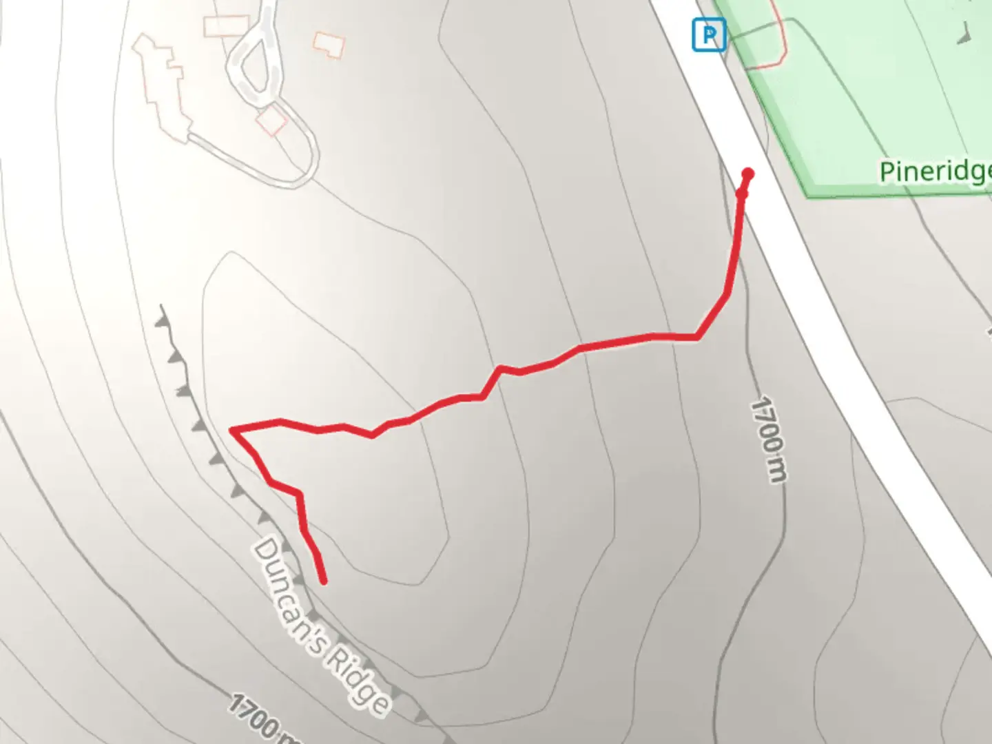 An image depicting the trail South Centenial Drive and its surrounding area.