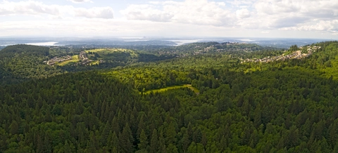 An image depicting the trail Jimmy Creek Trail via Mad River Trail and its surrounding area.