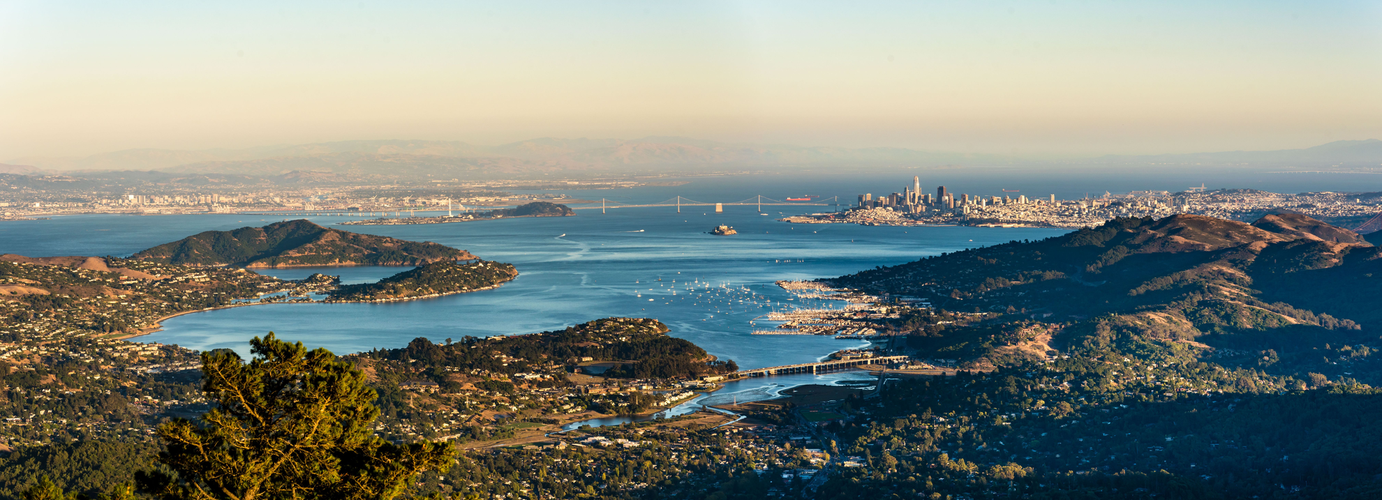 An image depicting the trail Mount Tamalpais Middle Peak Loop and its surrounding area.
