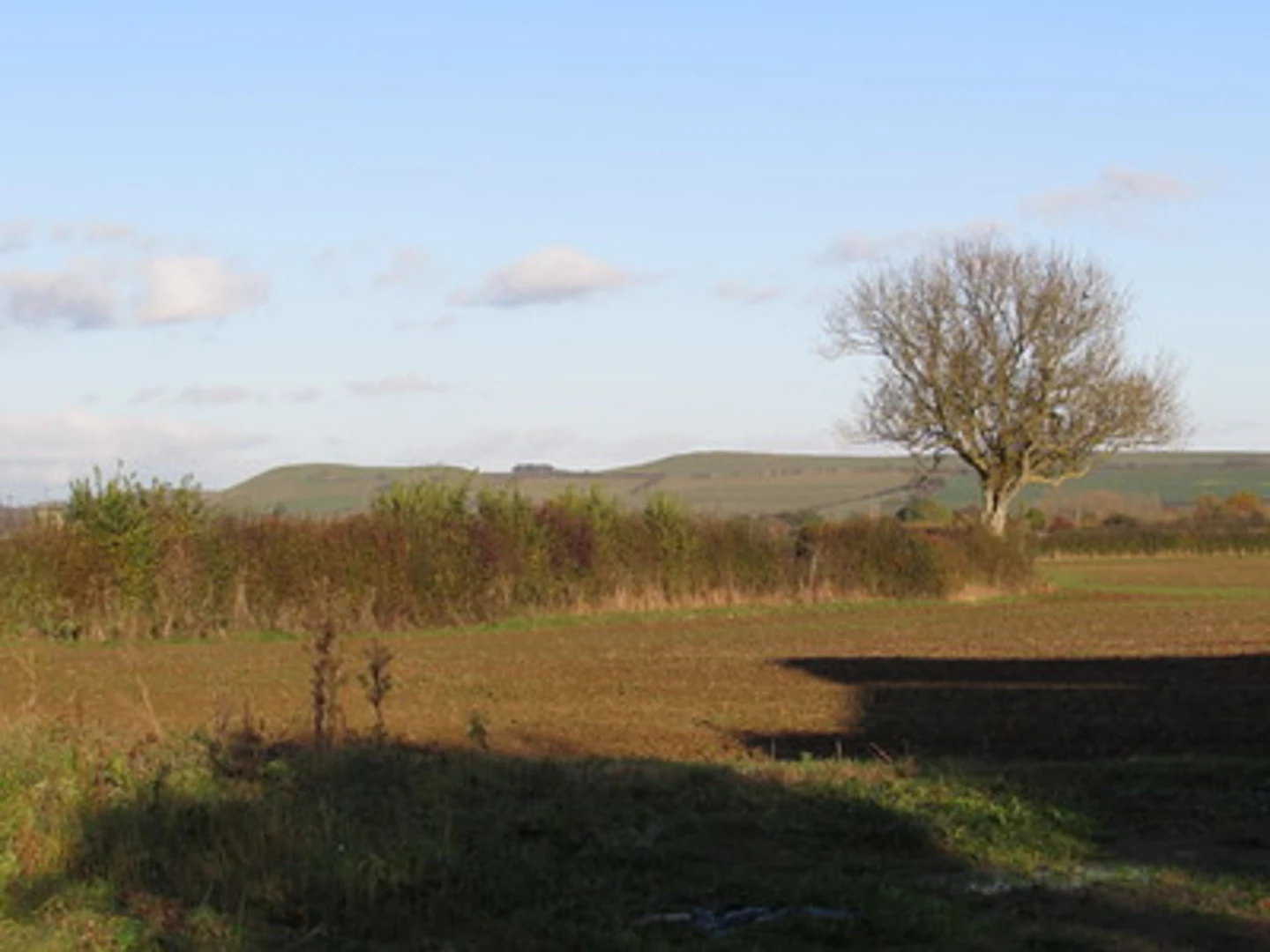 An image depicting the trail The Beacon via Corton Denham Country Park and its surrounding area.