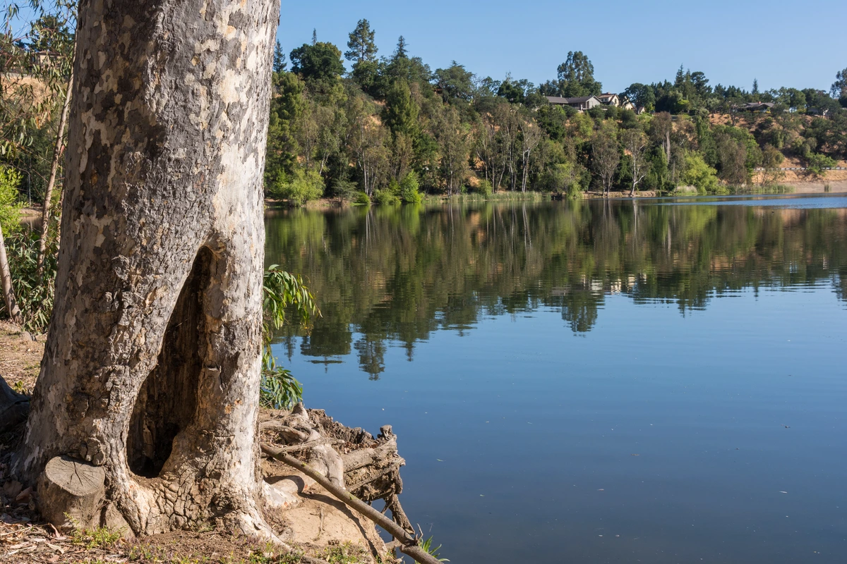 Vasona Reservoir via Los Gatos Creek Trail