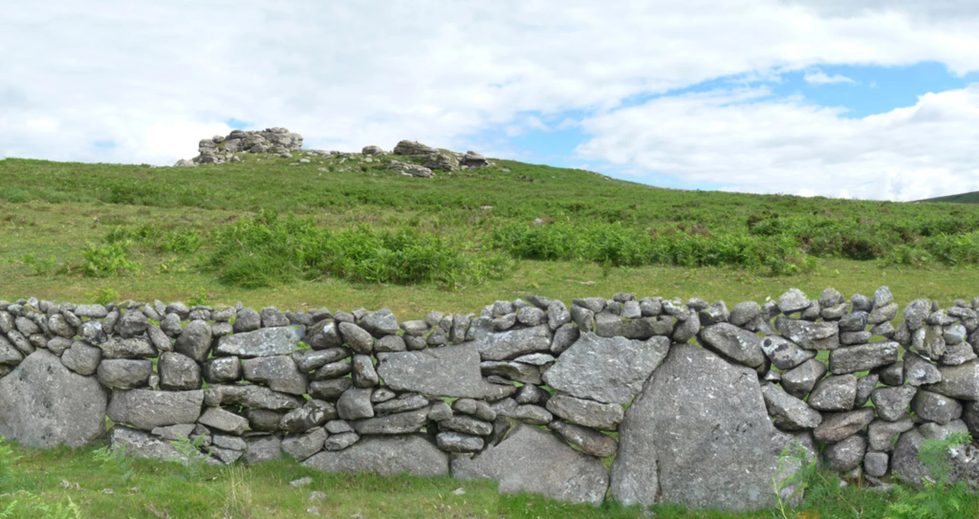 An image depicting the trail Emsworthy Mire and Saddle Tor Walk and its surrounding area.