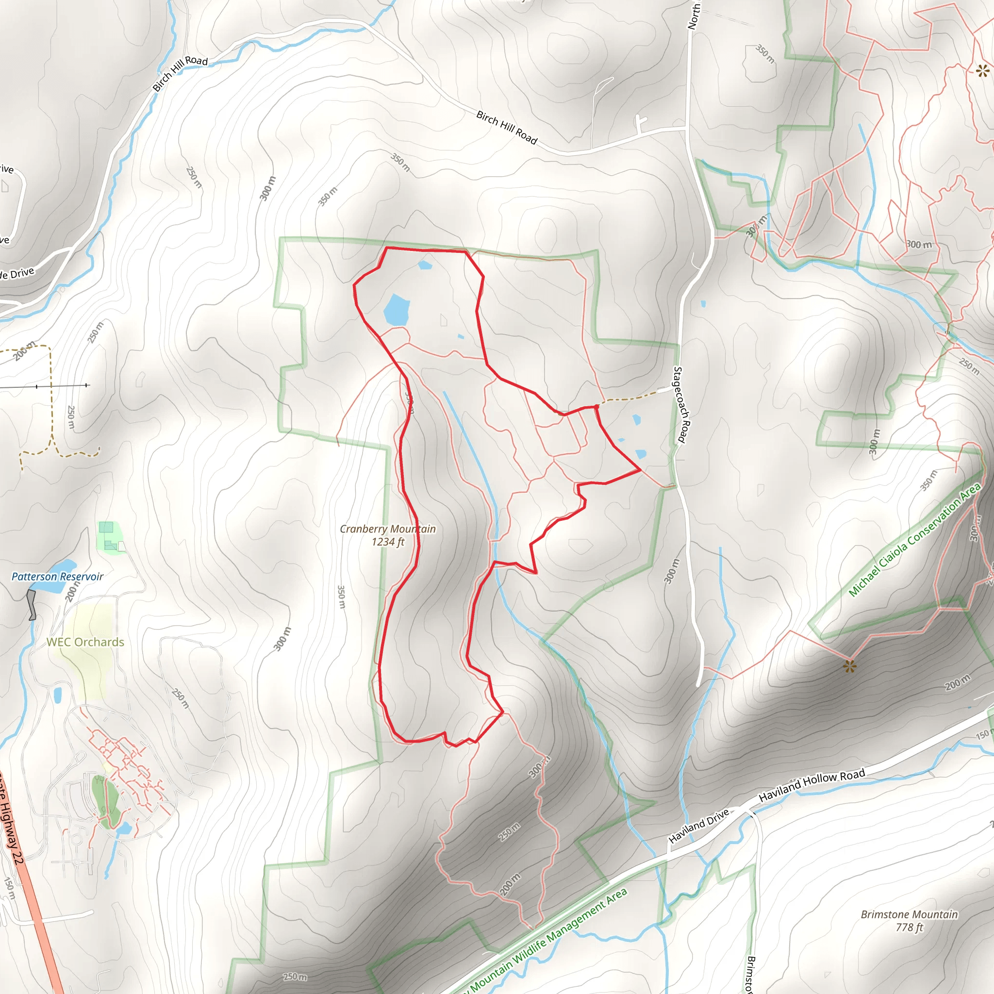 Cranberry Mountain Loop from Stagecoach Road mobile static map