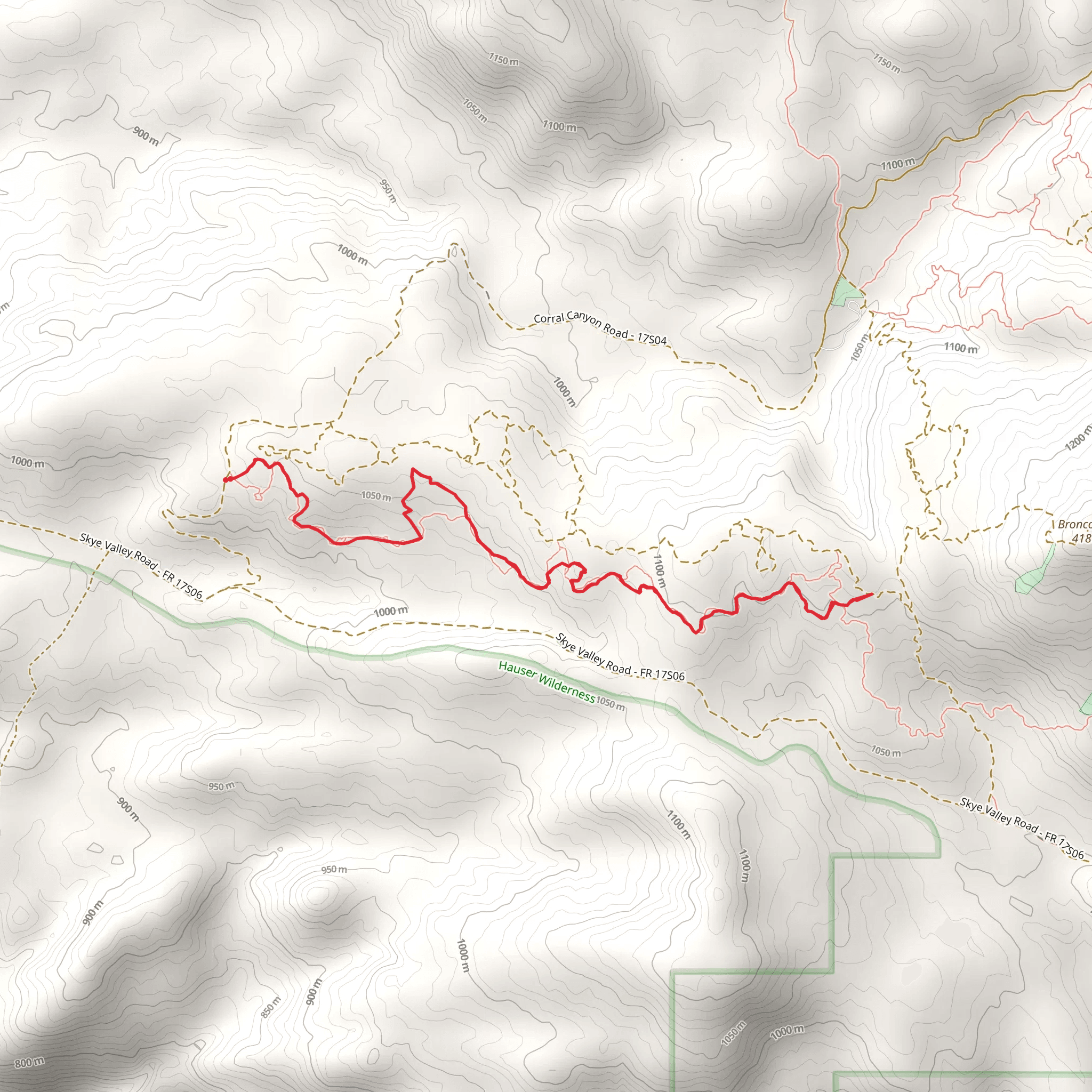 Peace Maker Singletrack Track mobile static map