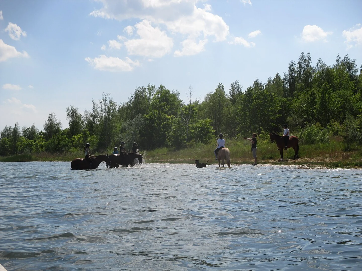 An image depicting the trail Schladitzer See Loop and its surrounding area.
