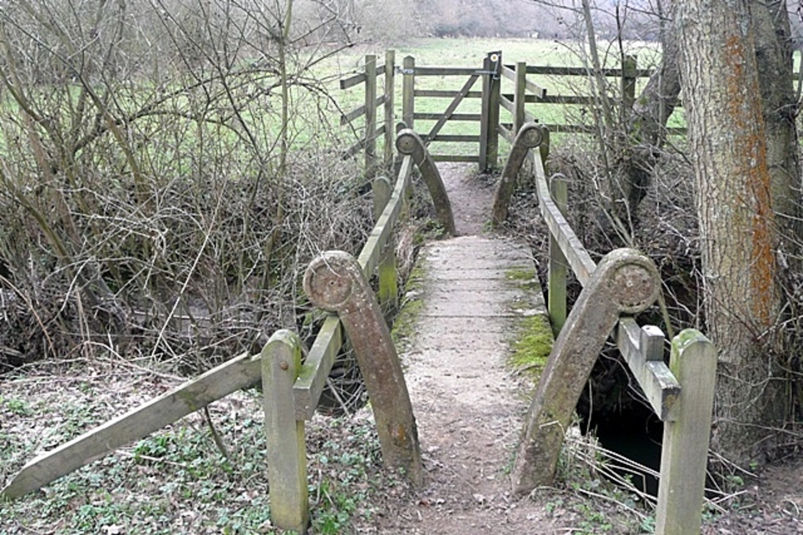 An image depicting the trail Ashford Hangers National Nature Reserve Loop from Petersfield and its surrounding area.