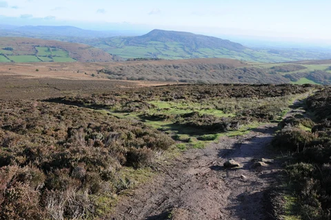 An image depicting the trail Sugarloaf Mountain Loop and its surrounding area.