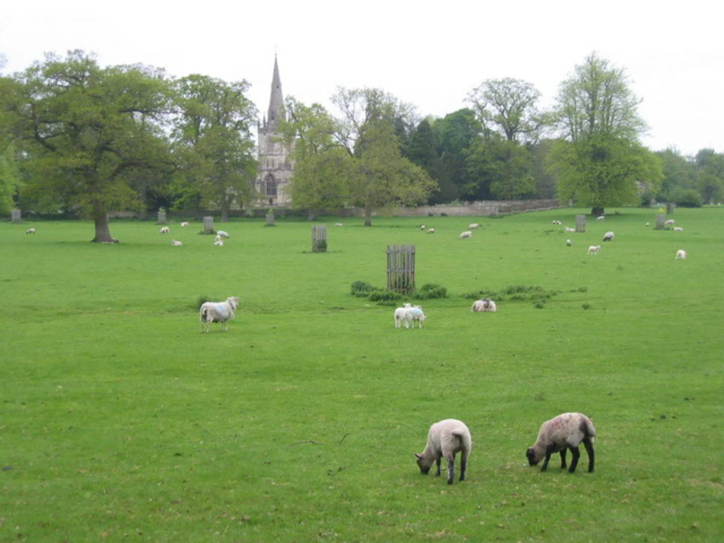 An image depicting the trail Corsham Court Loop and its surrounding area.