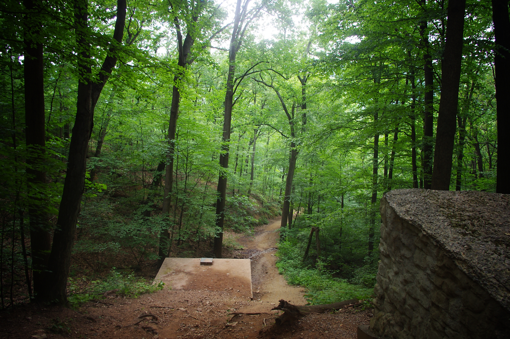 An image depicting the trail Flat Rock via Tuscarora Trail and its surrounding area.