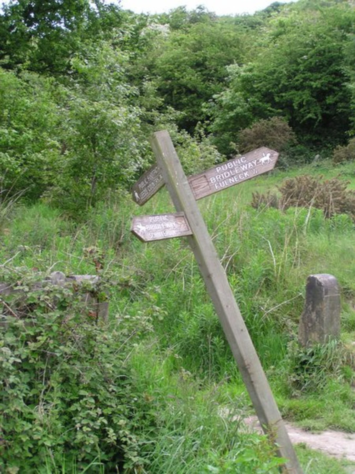 Bankhouse and Bottom the Banks Walk
