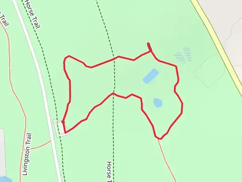 Piney Woods Nature Loop Trail