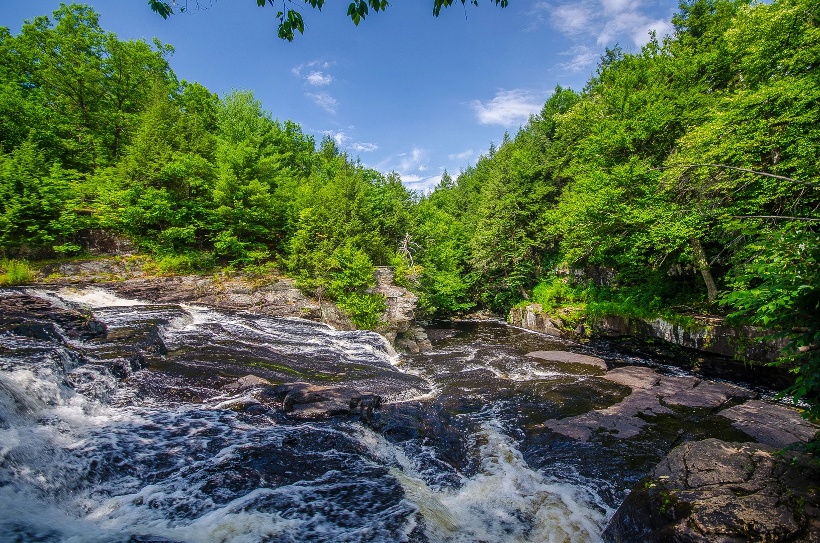 An image depicting the trail Shohola Creek from Grand Army of the Republic Highway and its surrounding area.