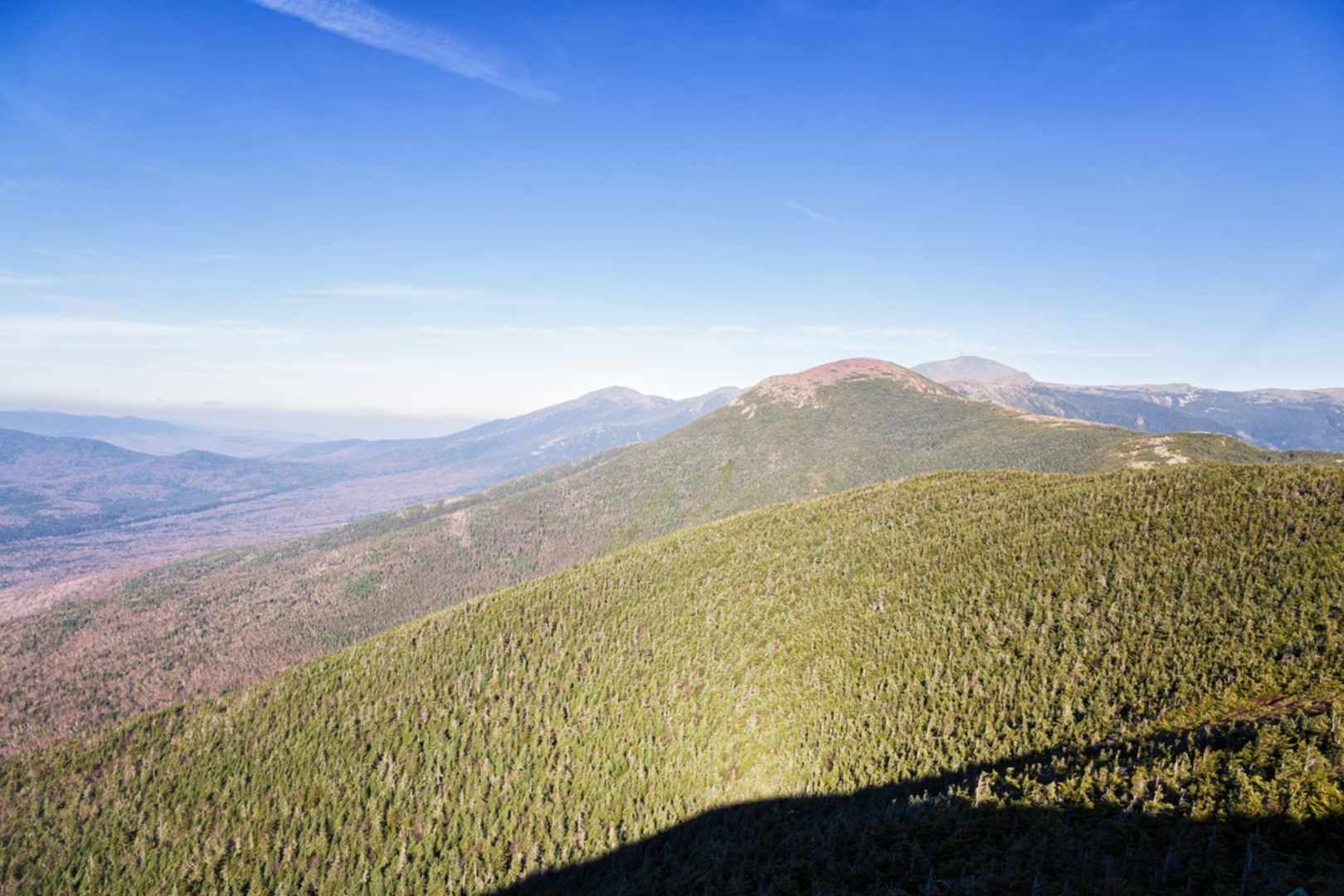 An image depicting the trail Mount Eisenhower via Edmands Path Trail and its surrounding area.