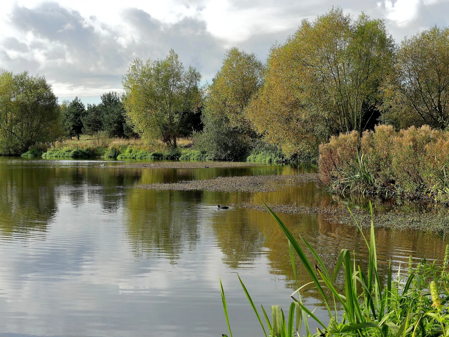 An image depicting the trail Churches Loop from Wath-on-Dearne and its surrounding area.