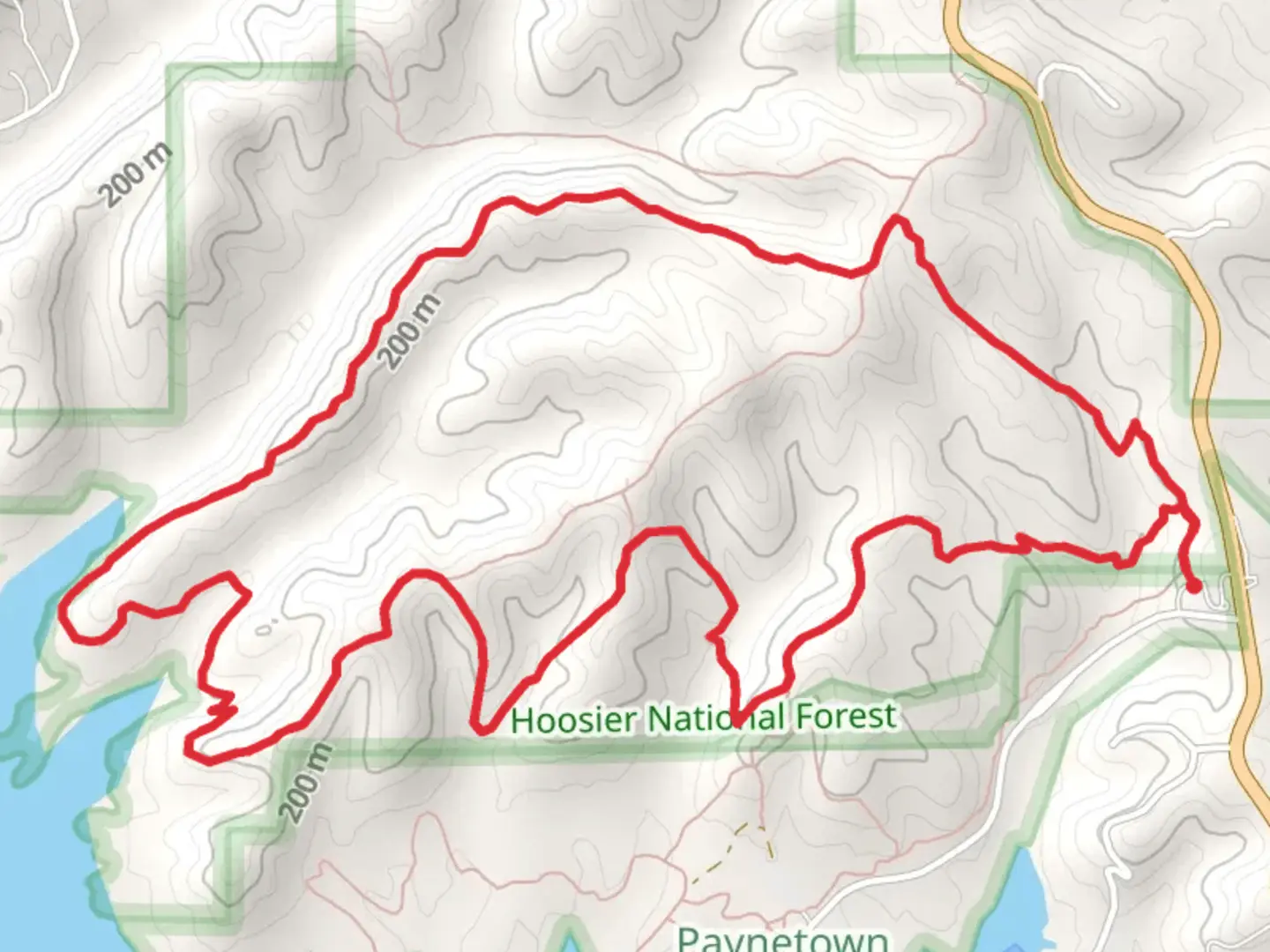 An image depicting the trail Pate Hollow Loop Trail and its surrounding area.