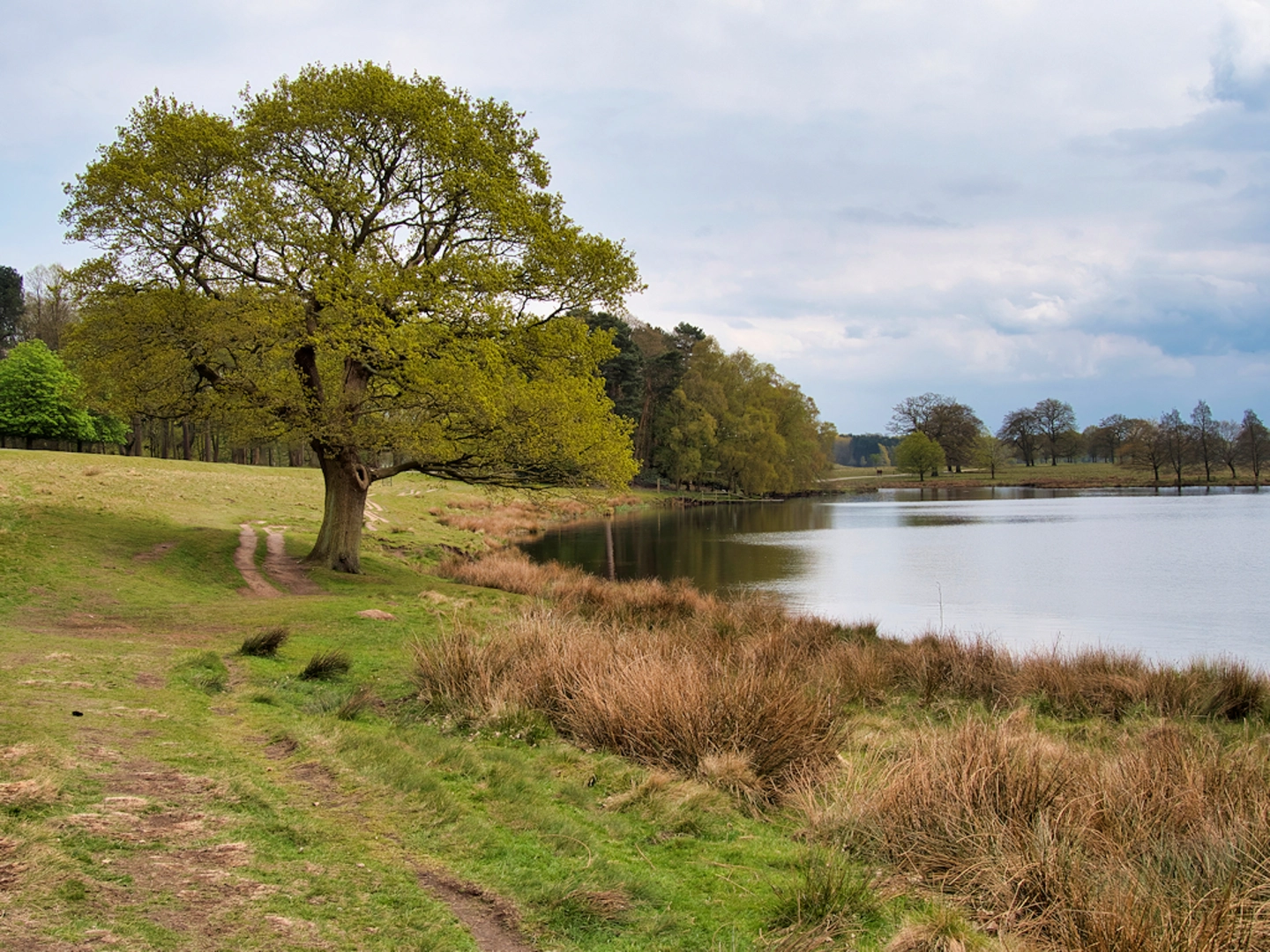 An image depicting the trail Tatton Park and Tatton Mere Loop and its surrounding area.