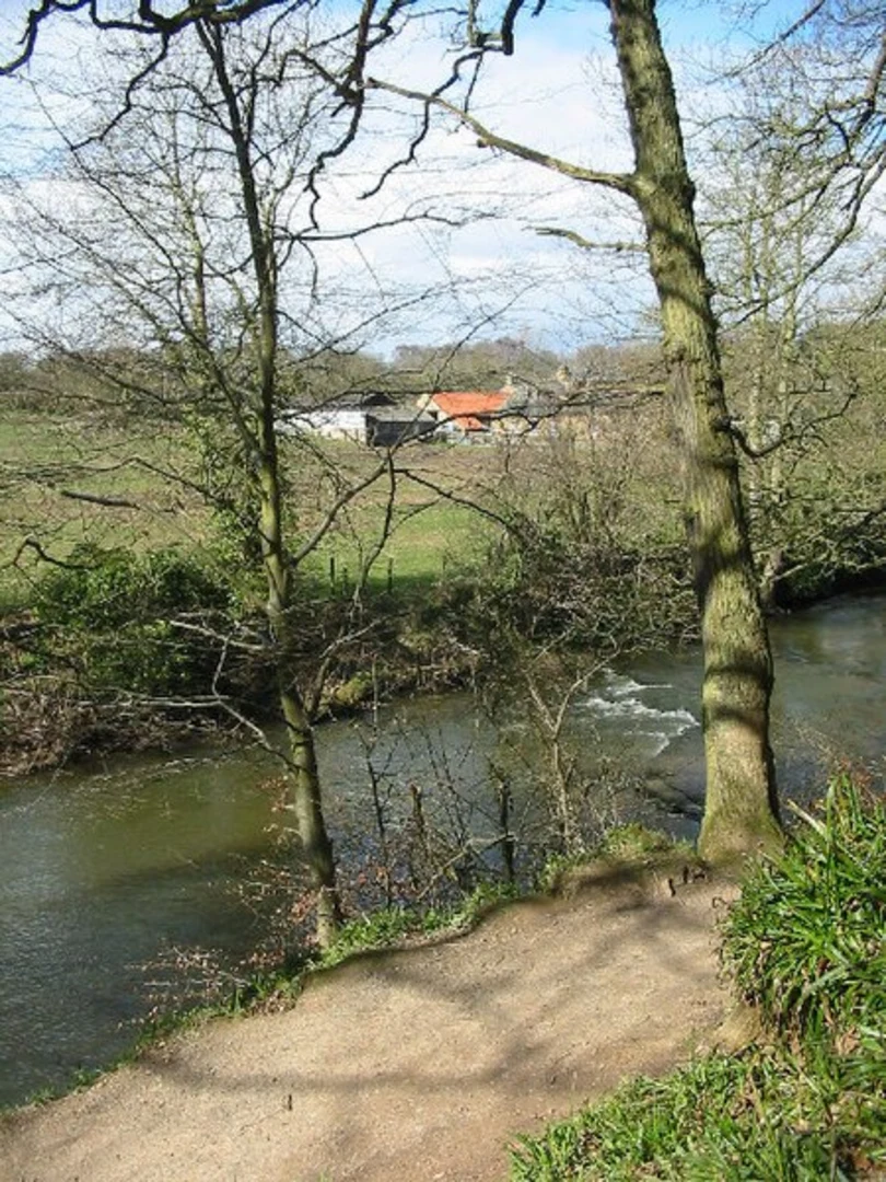 An image depicting the trail River Blyth and Plessey Woods Country Park and its surrounding area.