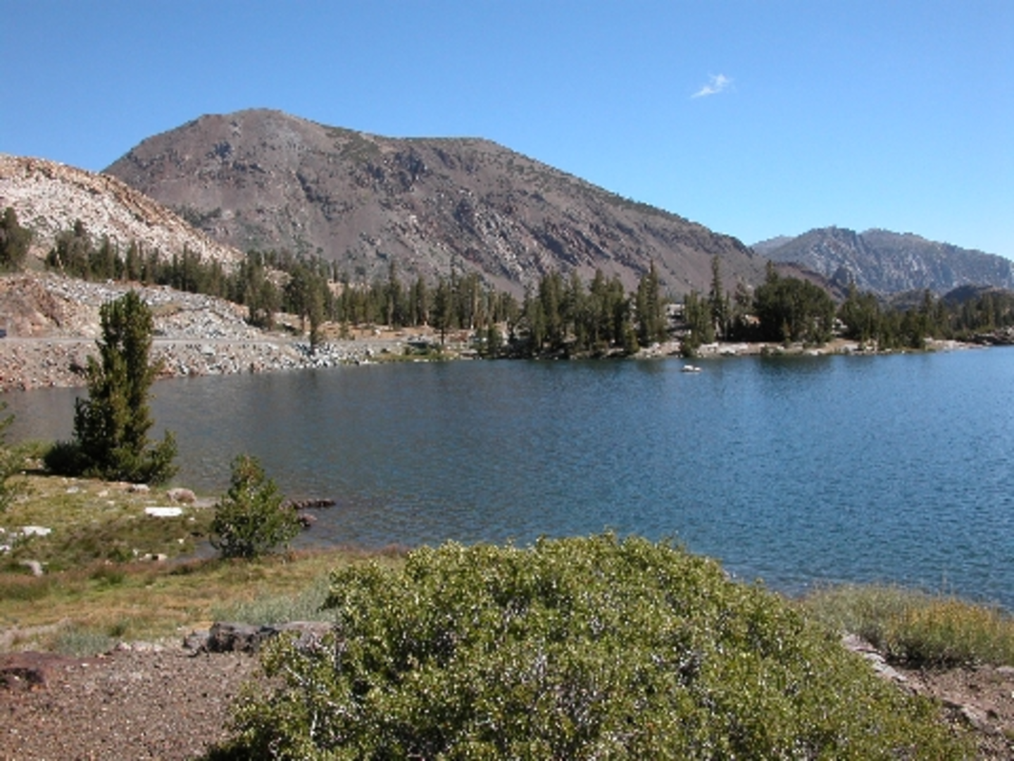 An image depicting the trail May Lake Trail from Tioga Pass Road and its surrounding area.