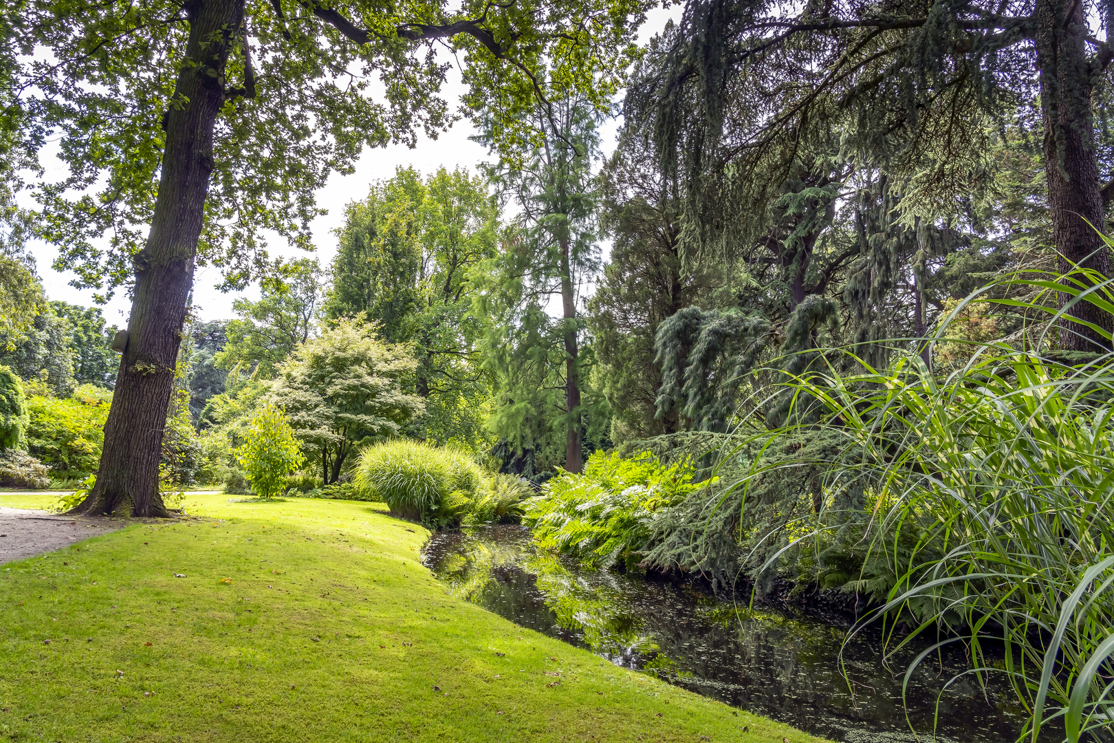 An image depicting the trail Wageningse Berg and Boszicht via Dorschkamp Weg and Holle Weg and its surrounding area.