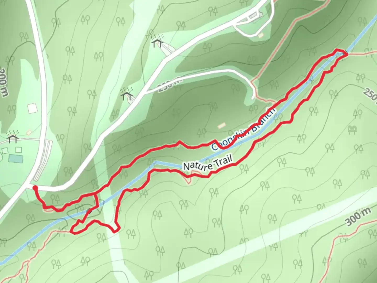 An image depicting the trail Coonskin Branch Loop and its surrounding area.