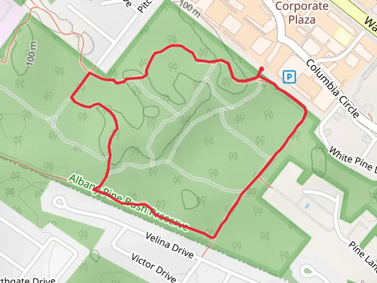 An image depicting the trail Blueberry Hill East Yellow Trail Loop and its surrounding area.