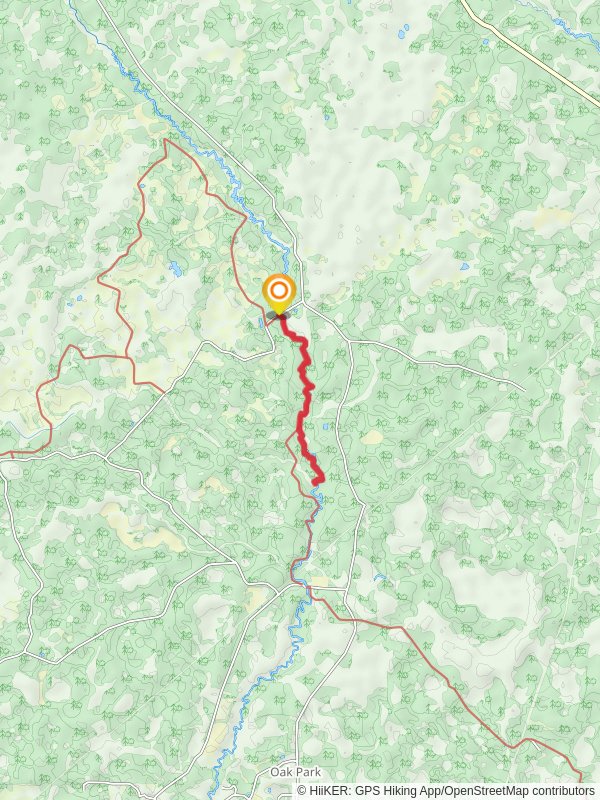 Sopchoppy River Walkalong via Florida Trail