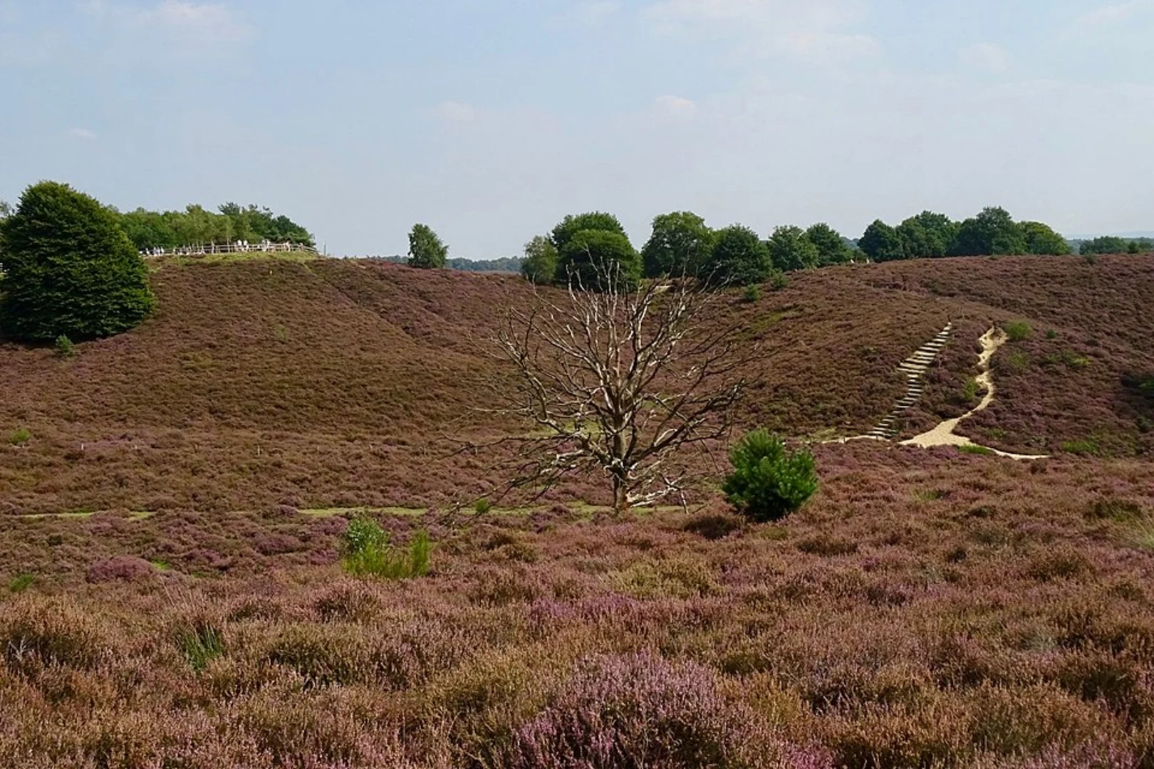 An image depicting the trail Herikhuizerveld and Bezpekerscentrum Loop and its surrounding area.