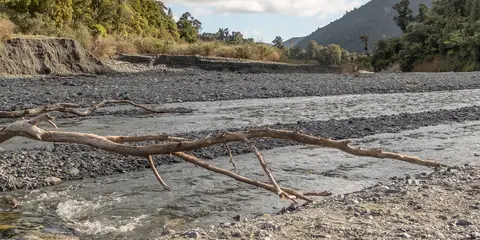 An image depicting the trail Big Bend Track and its surrounding area.