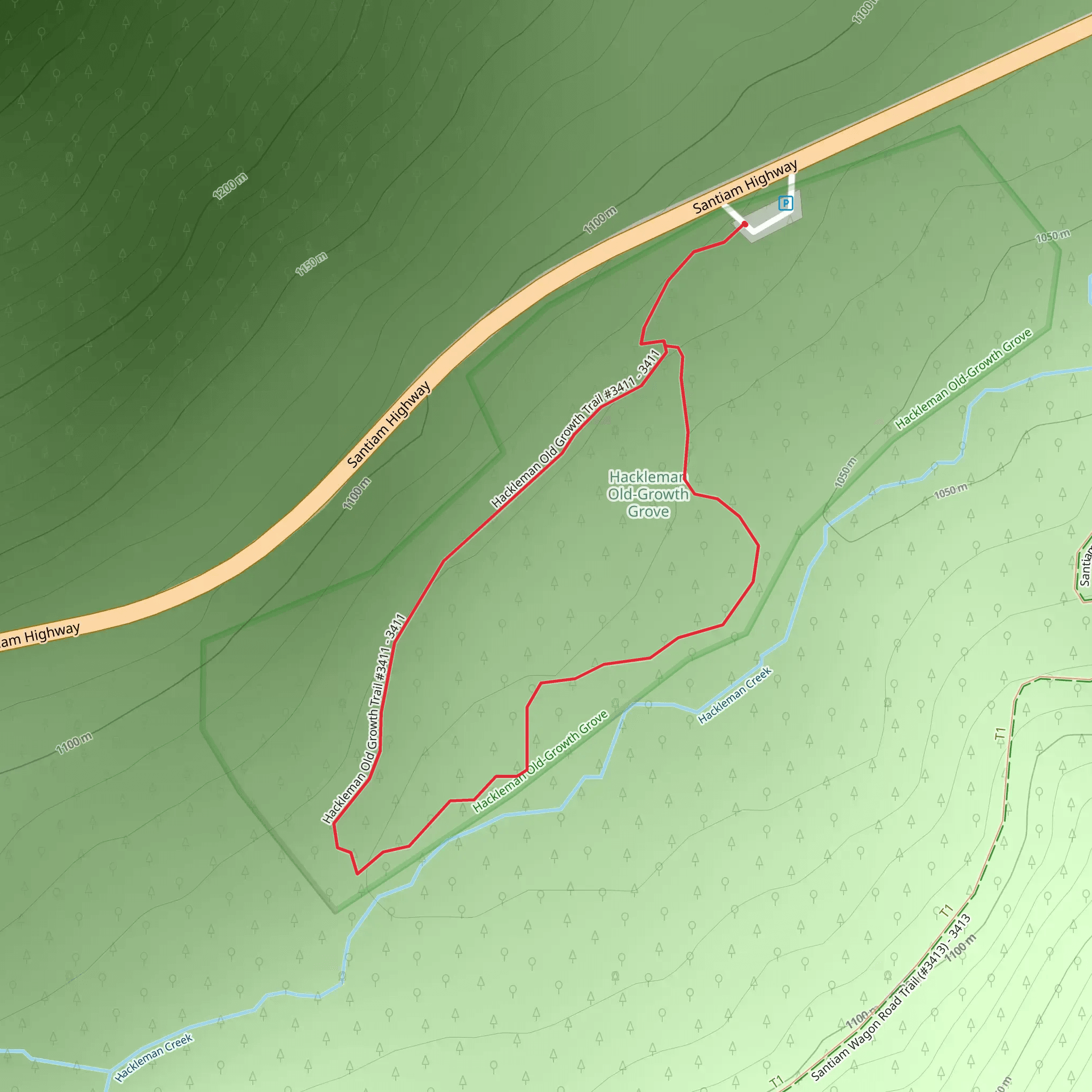 Hackleman Old Growth Loop Trail mobile static map