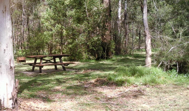 An image depicting the trail Tallaganda National Park and its surrounding area.