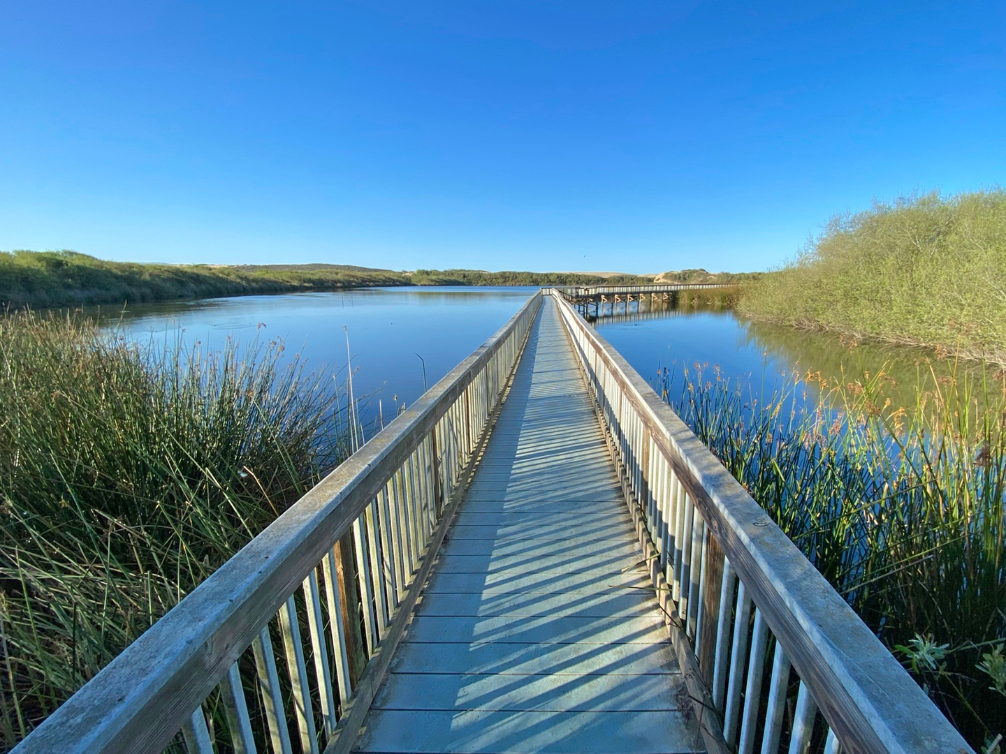 An image depicting the trail Oso Flaco Creek and Lake and its surrounding area.