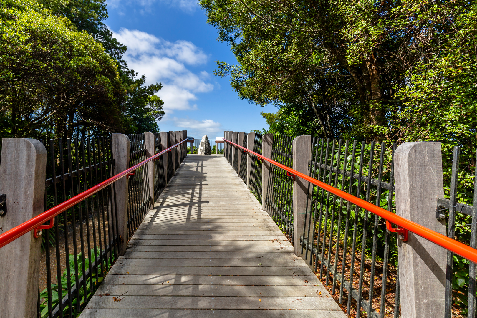 An image depicting the trail Mount Parihaka via Hokianga Track and its surrounding area.