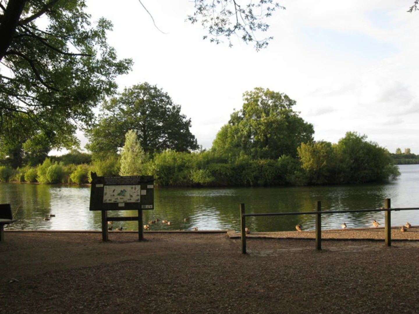 An image depicting the trail Black and White Swan Lake Loop and its surrounding area.