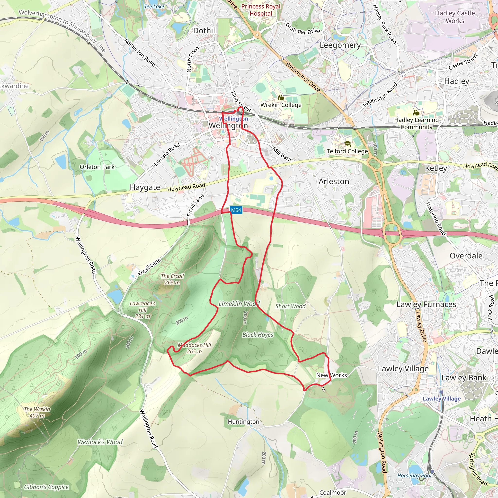 Wellington to New Works Loop mobile static map