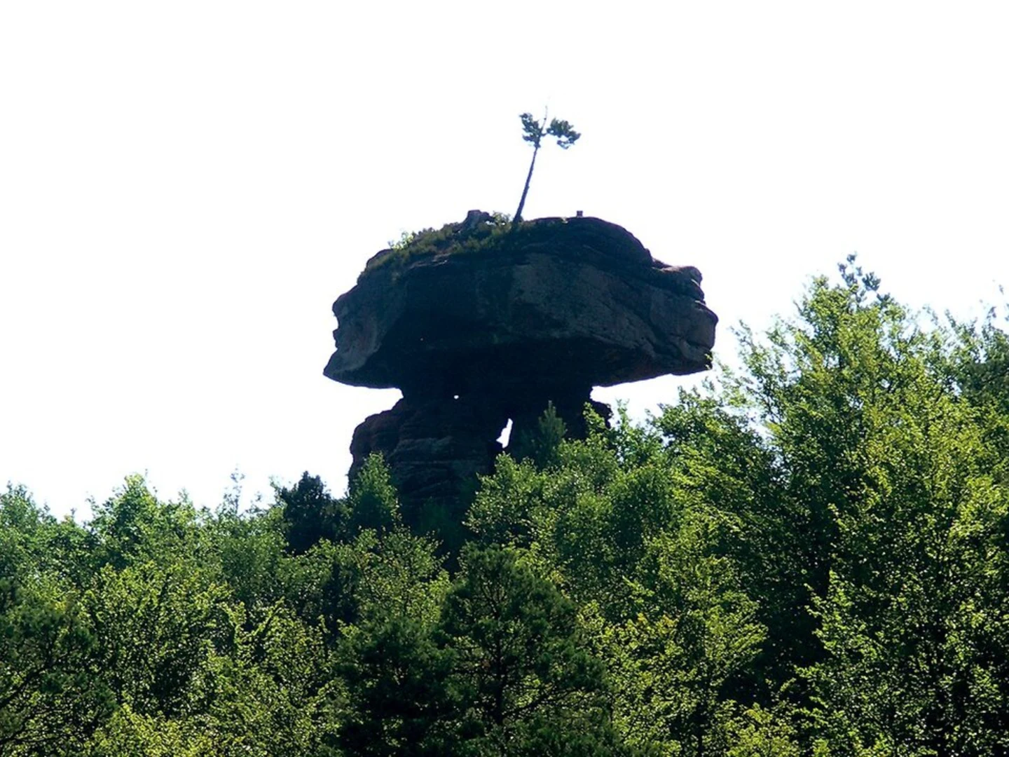 An image depicting the trail Teufelsschmiede via Hinterweidenthaler and its surrounding area.
