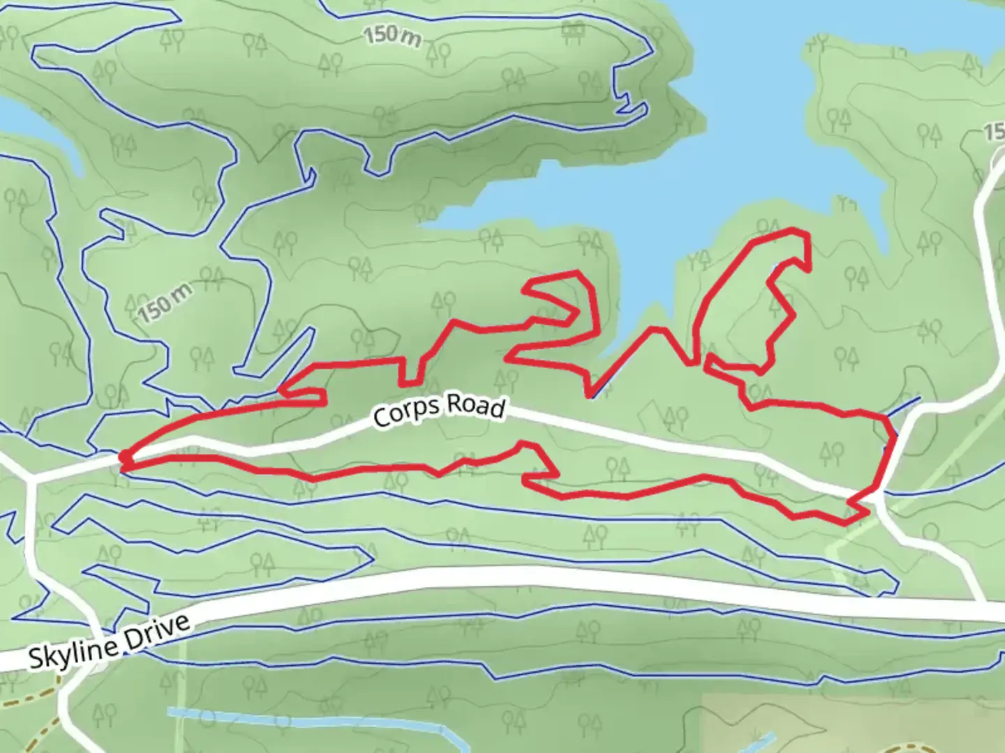 An image depicting the trail Blue Bayou Loop and its surrounding area.